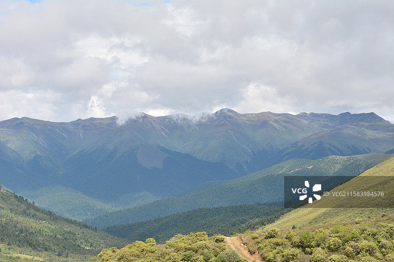 川藏线骑行第十八天（林芝巴宜 鲁朗林海、色季拉山、南迦巴瓦峰）图片素材