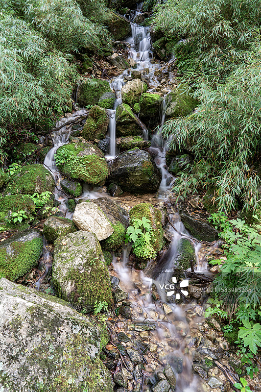 秦岭山脉-牛背梁图片素材