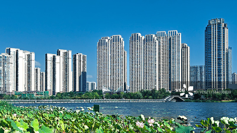 梅溪湖风光图片素材