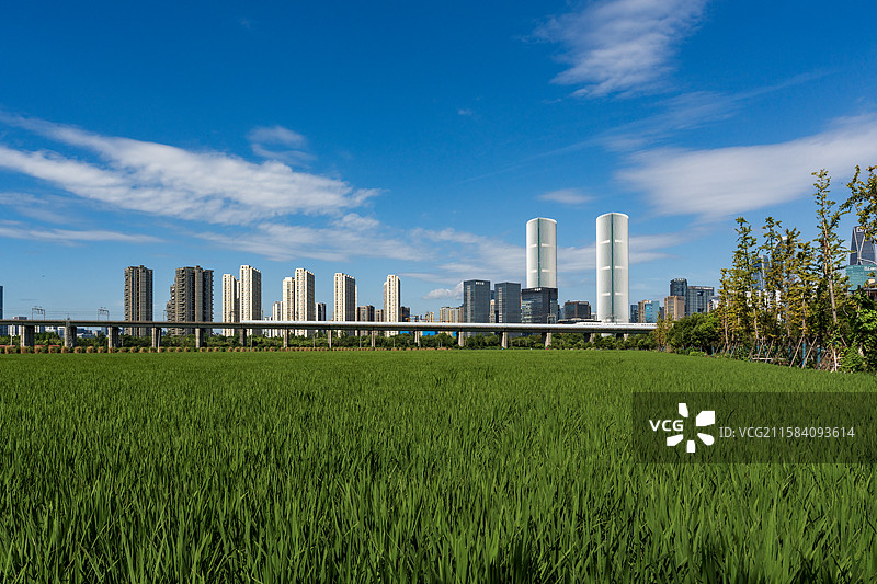 钱江新城 钱江世纪公园图片素材