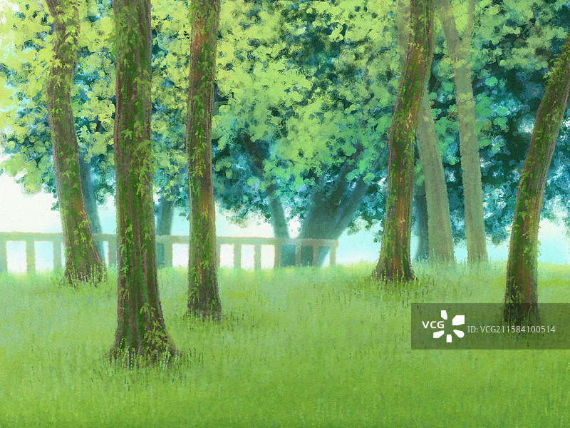 公园里的树图片素材