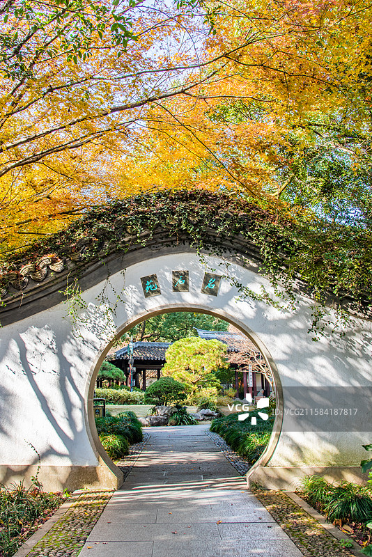 西湖 月亮门 圆月门 拱门 园林墙 园林门洞 秋叶 曲院风荷 江南园林景观 秋天 秋景 古典园林图片素材