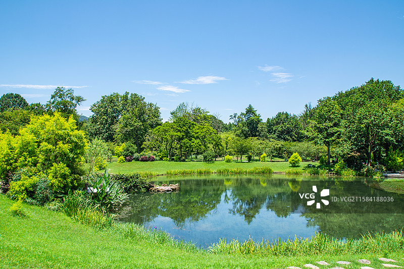 太子湾公园 公园园林绿化 绿色 阳光树林草坪 生态 环境 西湖入水口 园林景观 杭州 绿树林 蓝天图片素材