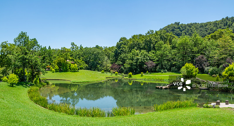 太子湾公园 公园园林绿化 绿色 阳光树林草坪 生态 环境 西湖入水口 园林景观 杭州 绿树林 蓝天图片素材