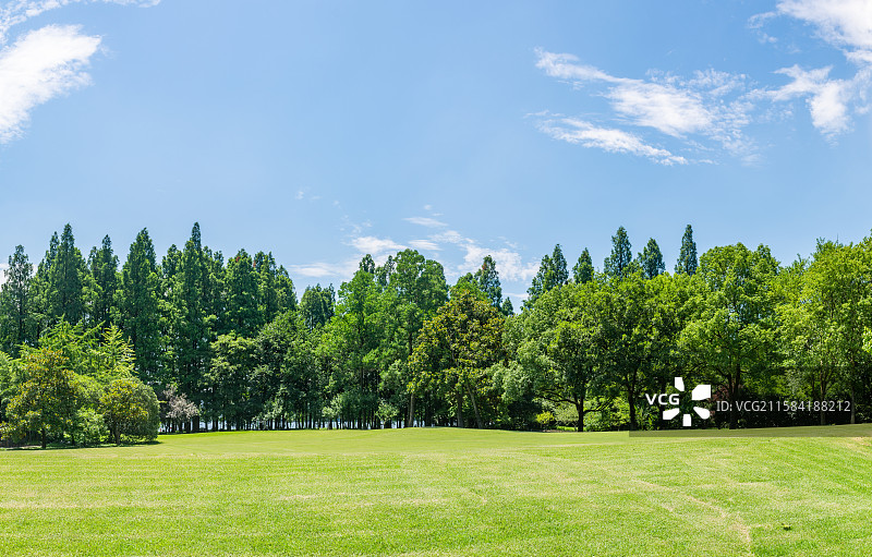 杭州 西湖畔 阳光树林草坪 绿化 绿色 环境 园林景观 园艺 绿植 绿地 草地 蓝天白云图片素材
