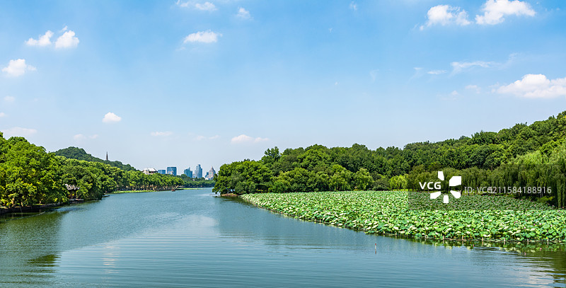 孤山 北山街 城市环境 公园 杭州风光 荷塘 杭州 西湖 夏天 夏景 景点 西湖风光 风景 美景图片素材