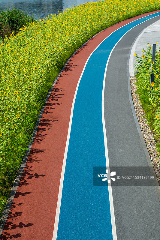 健身跑道 基础设施 橡胶步道 阳光 无人 钱塘区 杭州 大江东 东沙湖公园 绿道 游步道 宜居环境图片素材