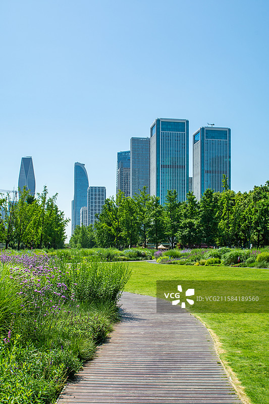 钱江世纪城 钱江世纪公园 亚洲花卉主题园 商务 高楼大厦 环境 杭州 城市建筑风光 园艺 花园 绿化图片素材