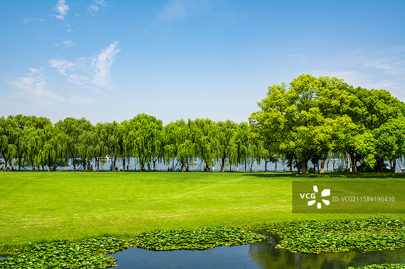树林 阳光草坪 蓝天白云 绿化 杭州 西湖畔 绿色 绿地 园林 园艺 草地 绿树 环境 柳浪闻莺图片素材