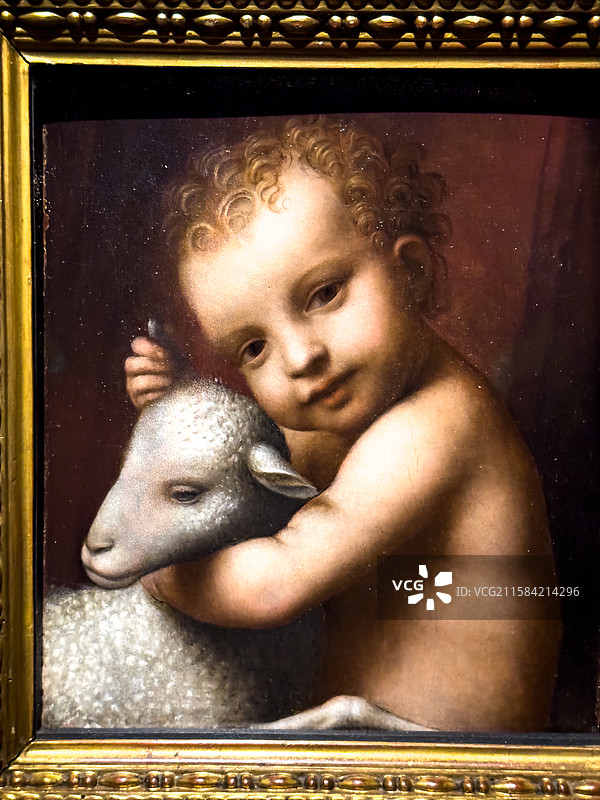 伯纳迪诺·卢伊尼 木板油画 男孩与羔羊 米兰盎博罗削图书馆和美术馆图片素材