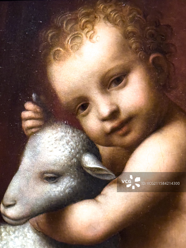 伯纳迪诺·卢伊尼 木板油画 男孩与羔羊 米兰盎博罗削图书馆和美术馆图片素材