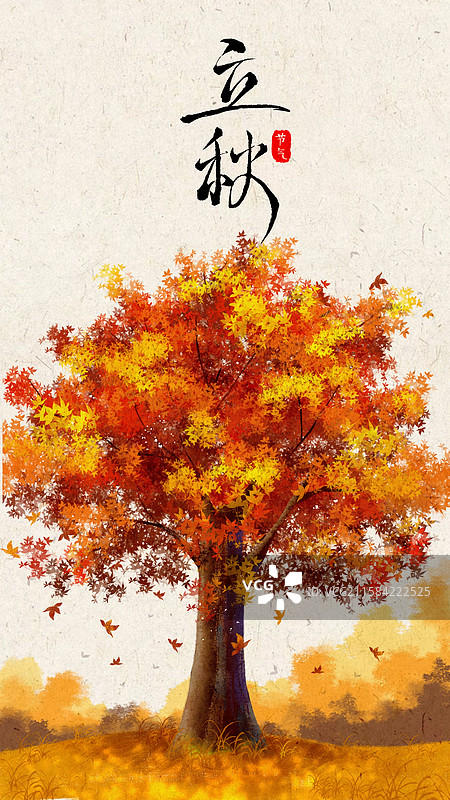 二十四节气•立秋图片素材