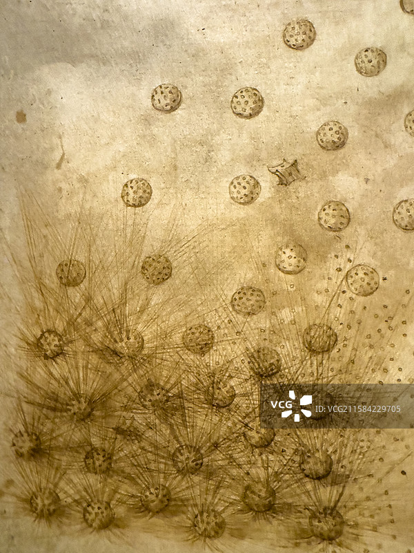 《大西洋古抄本》  达芬奇 发射炸弹的大炮 手稿 草图 米兰盎博罗削图书馆和美术馆图片素材