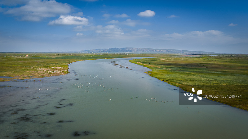青海湖湿地风光图片素材