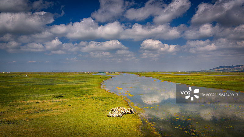 青海湖湿地风光图片素材