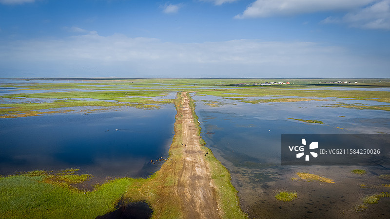 青海湖湿地风光图片素材