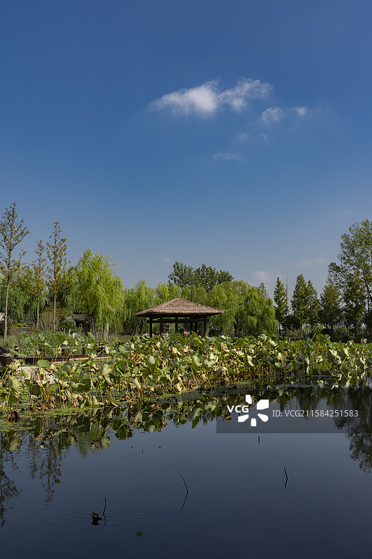 江苏盐城建湖九龙口淮剧小镇图片素材