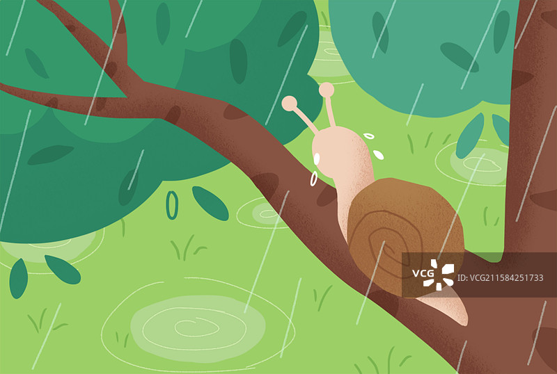 蜗牛背着壳图片素材