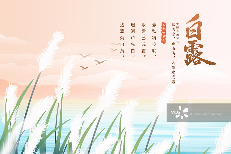 中国风二十四节气系列插画海报模版-秋天 秋日户外风景 风吹白色芦苇荡山水画 国风山水意境 横版图片素材