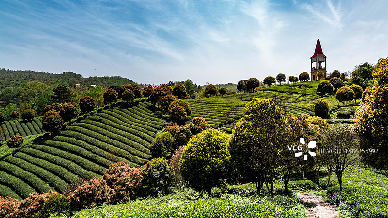 瓮安茶旅小镇图片素材