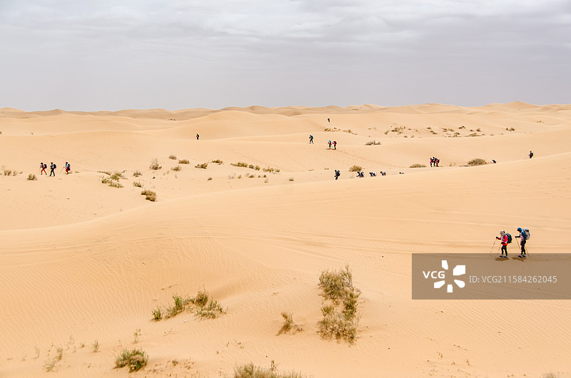 亚洲中国内蒙古阿拉善著名旅游景点腾格里沙漠，自然风光拍摄主题，广袤的金黄色沙漠，户外无人图像摄影图片素材
