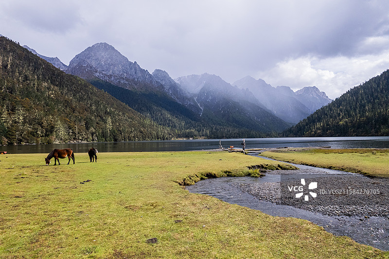 秋天川西旅游伍须海风景航拍图片素材