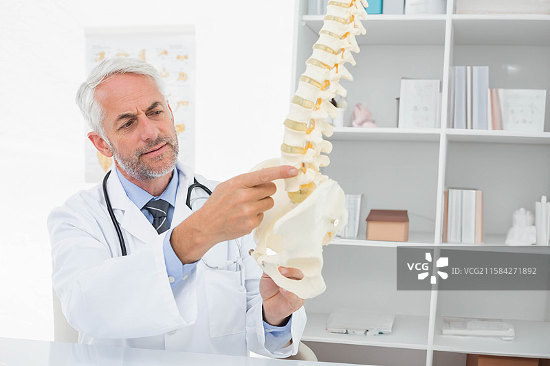 穿着实验室外套的老年男性医生在诊所检查并指着脊柱和骨盆模型图片素材