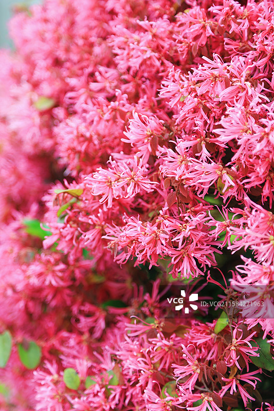 无锡江南大学高校图片素材