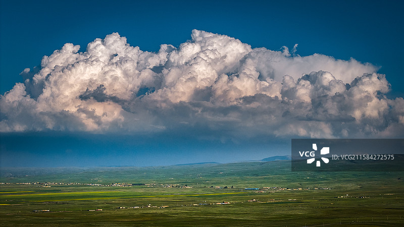 青海湖油菜花和蓝天白云图片素材
