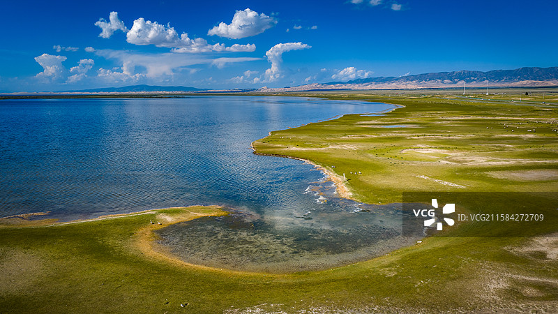 青海湖油菜花和蓝天白云图片素材