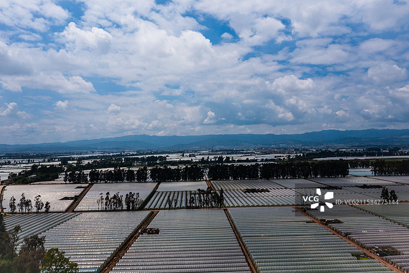 绿色生态农业新景象图片素材