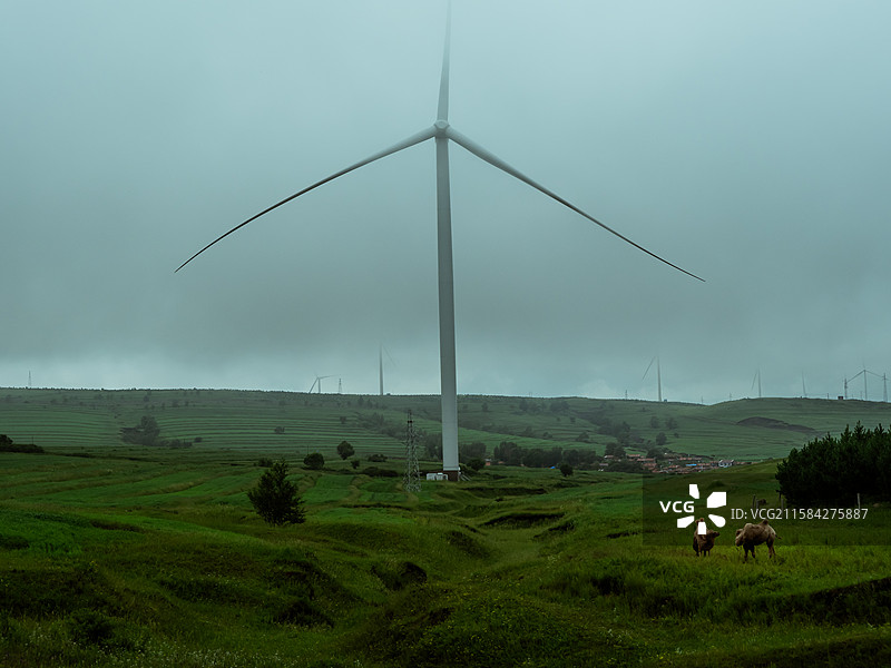 草原风车与骆驼图片素材