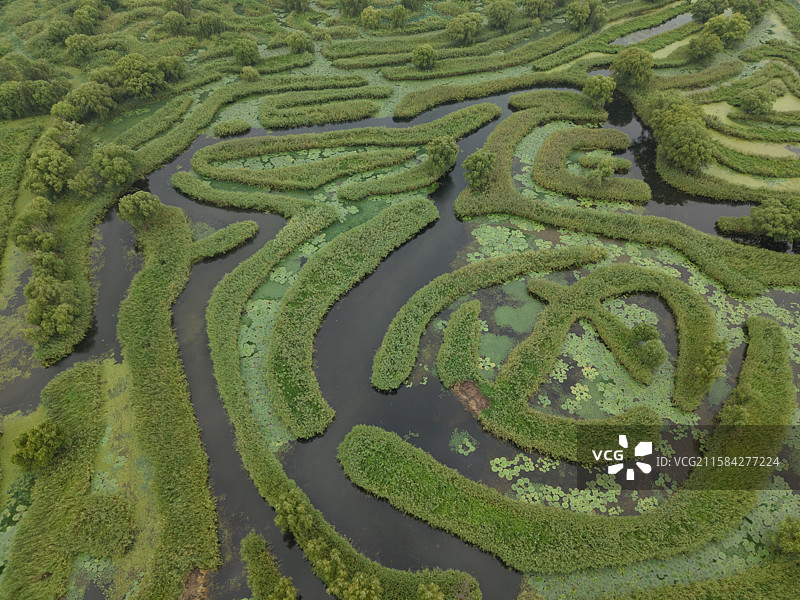 盐城大纵湖景区图片素材