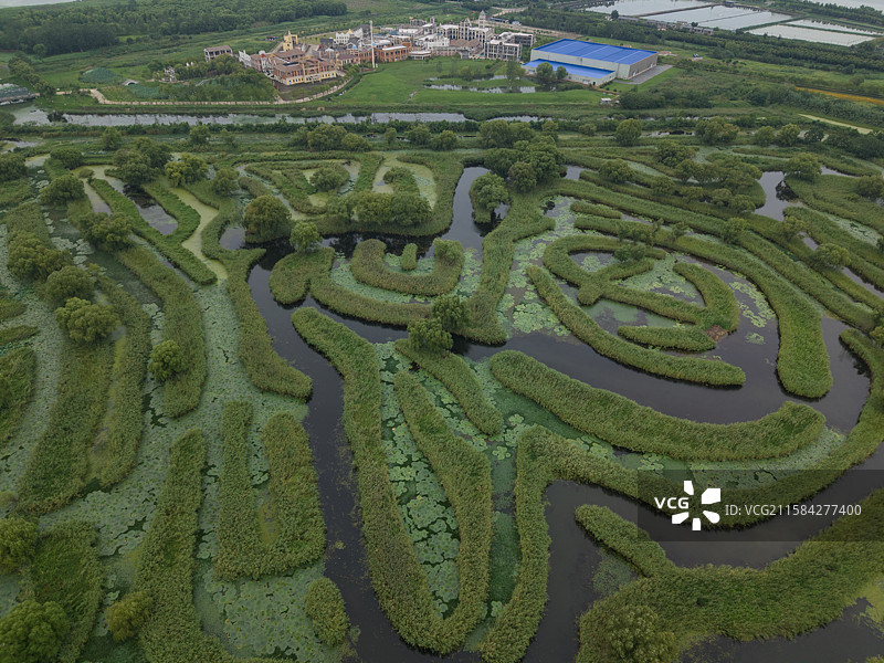 盐城大纵湖景区图片素材