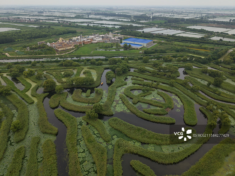 盐城大纵湖景区图片素材