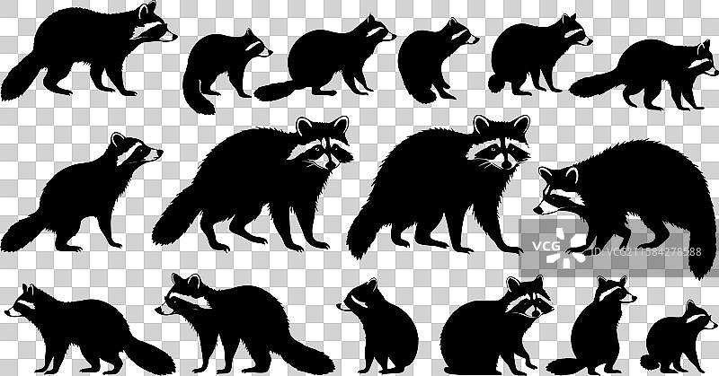 浣熊剪影系列 - 动物艺术图片素材