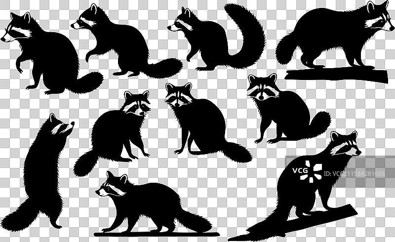 浣熊剪影包 - 自然与野生动物图片素材