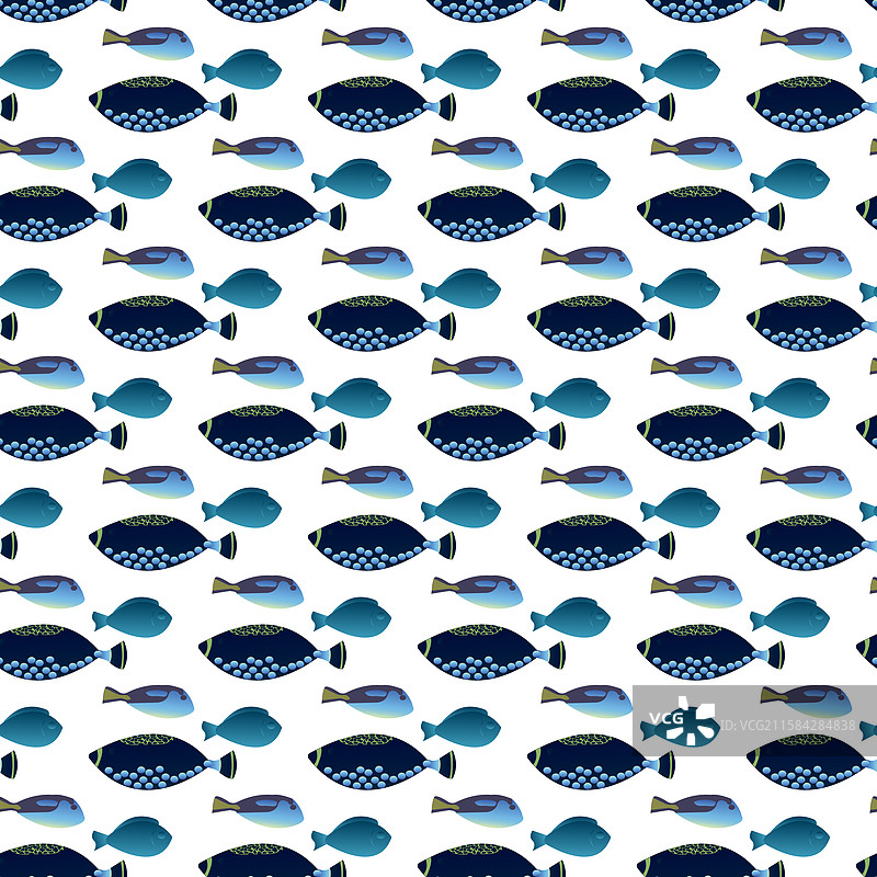 异国情调的水族馆或海鱼平面风格图片素材