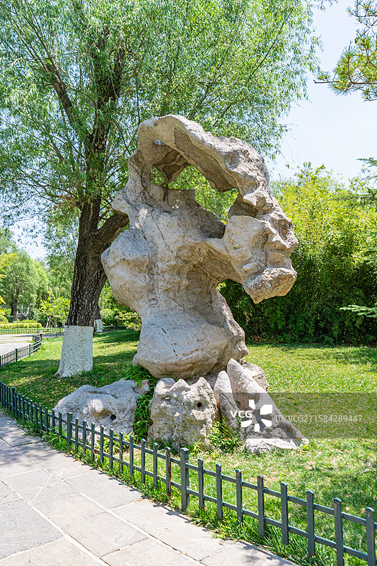 中国5A级旅游景区拍摄主题，山东济南大明湖公园园林，绿色的植物花坛和砖地人行道，户外白昼无人图像摄影图片素材