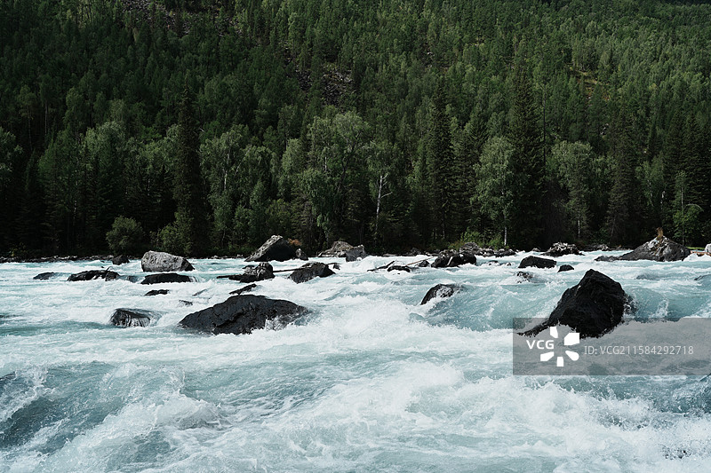 新疆喀纳斯山谷森林河流图片素材