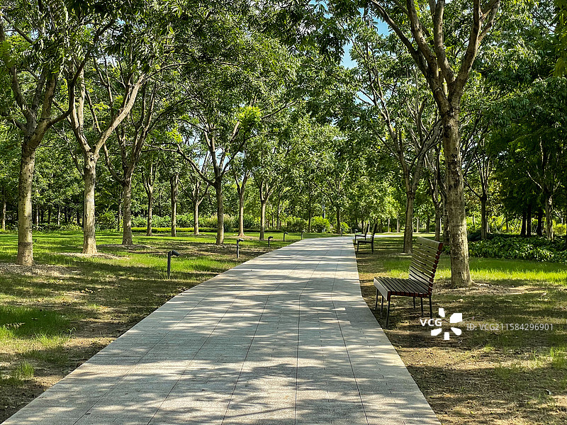 公园里的空长椅图片素材