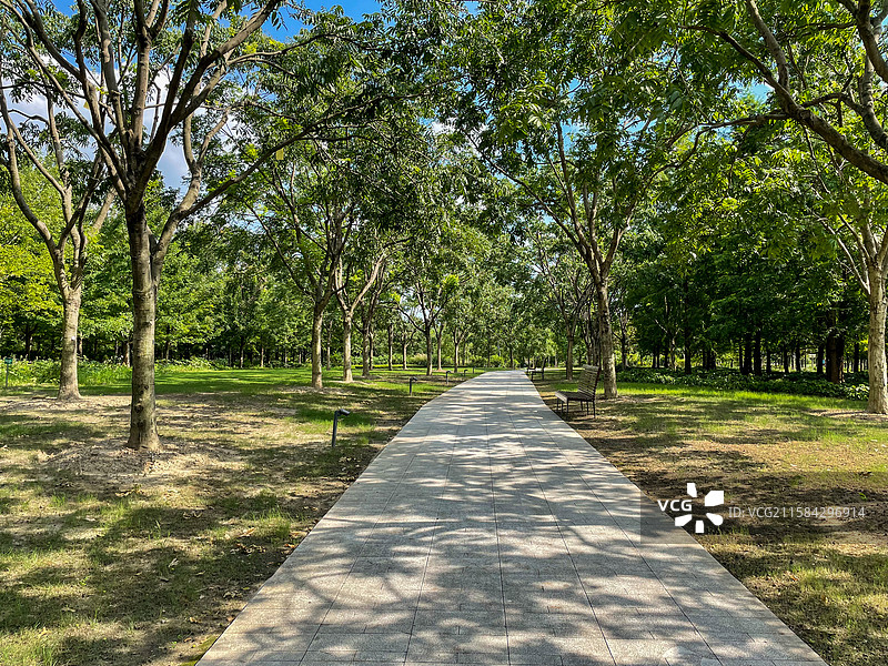 公园里的空长椅图片素材