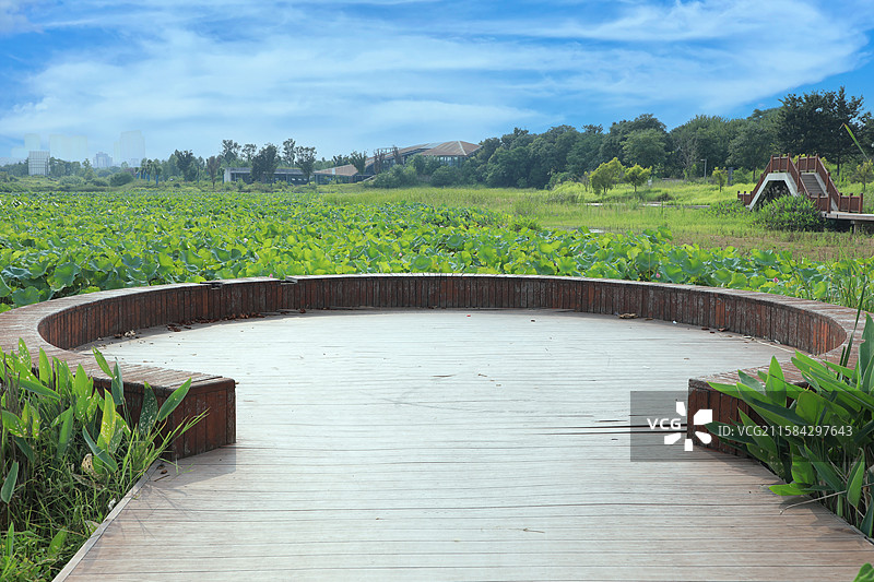 湘潭碧泉湖公园图片素材