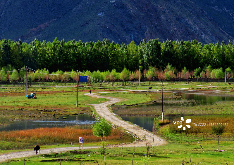 乡间小路（墨竹工卡）图片素材