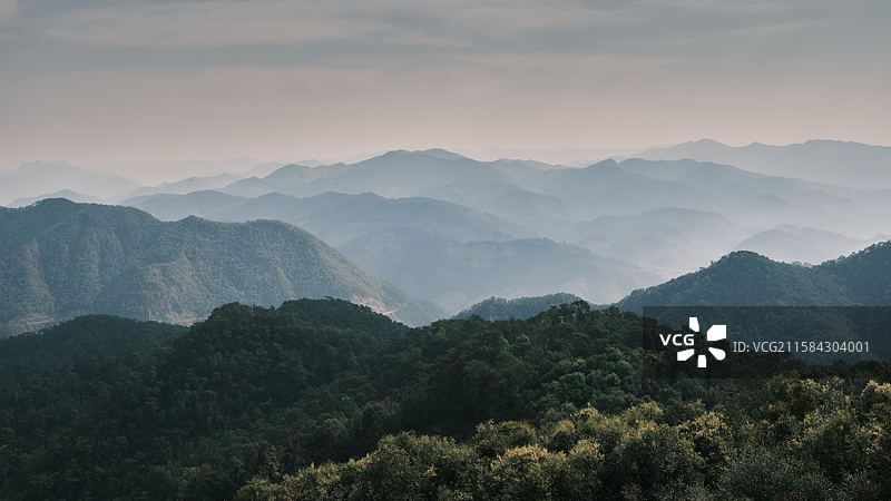 临沧昔归茶山图片素材