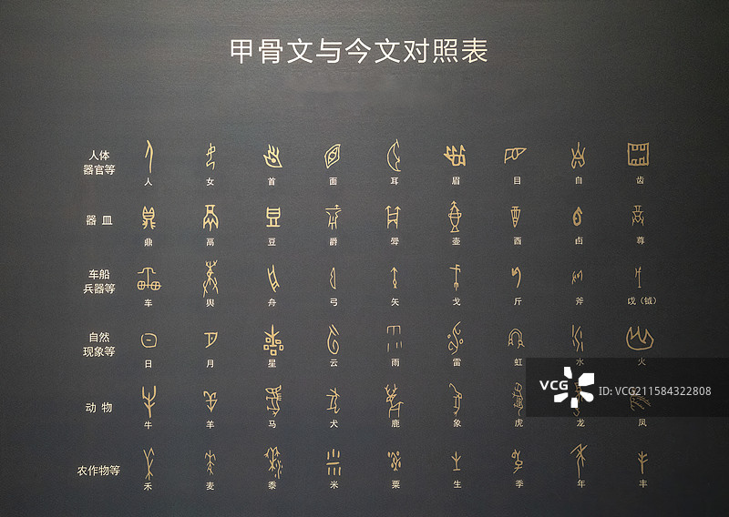 传统文化，部分甲骨文与今文对照表图片素材