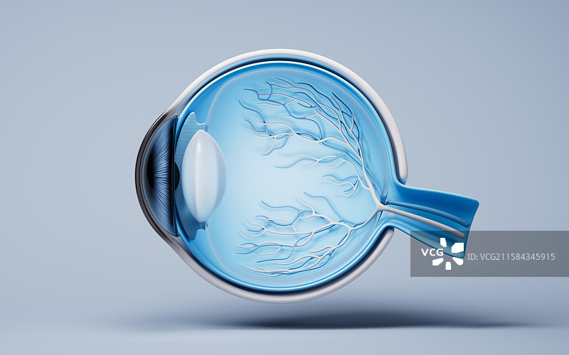 医学人类眼球结构三维渲染图片素材
