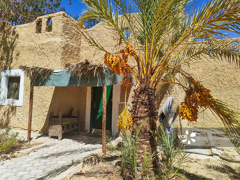 沙漠绿洲特色民居人文风光图片素材