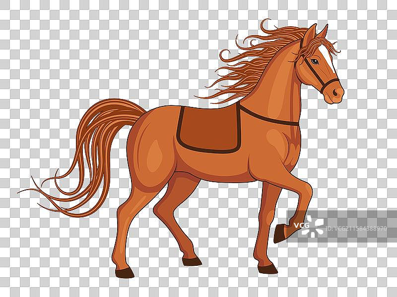 雄壮高大的马图片素材