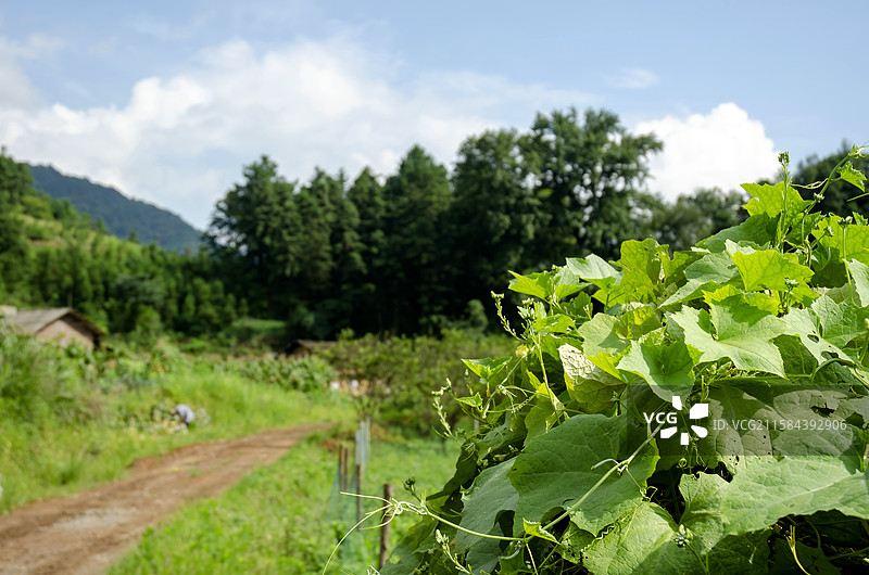 湖南永州江永县源口水库图片素材